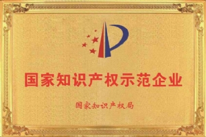 国家知识产权示范企业