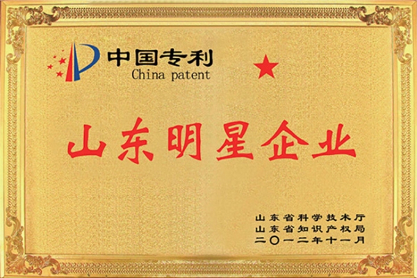 山东明星企业