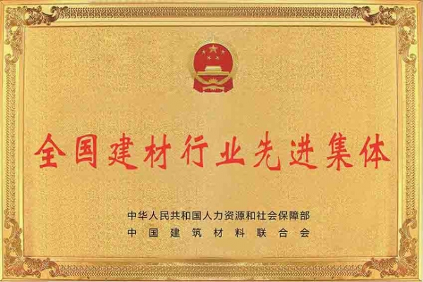 ​全国建材行业先进集体