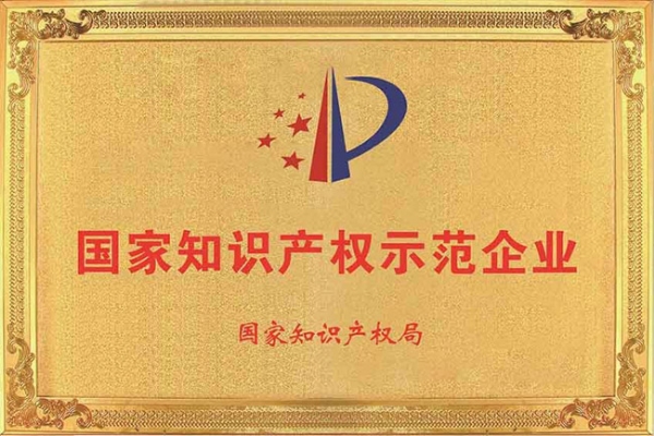 国家知识产权示范企业